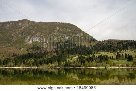 Beautiful Bohinj lake and its green surroundings in Slovenia during springtime