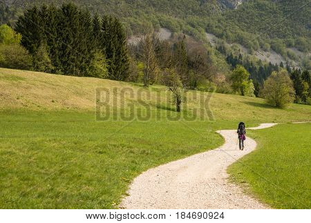 Beautiful Bohinj lake and its green surroundings in Slovenia during springtime