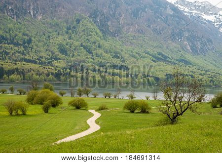 Beautiful Bohinj lake and its green surroundings in Slovenia during springtime