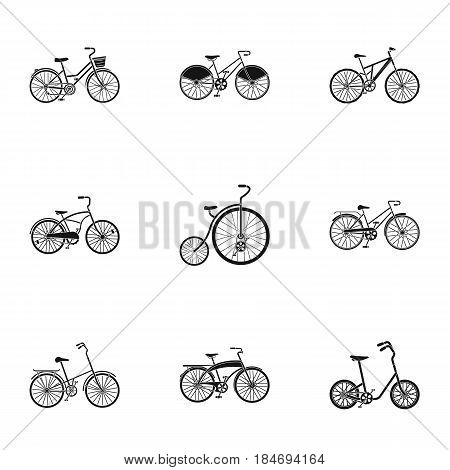 Collection of bikes with different wheels and frames. Different bikes for sport and walks.Different bicycle icon in set collection on black style vector symbol stock web illustration.