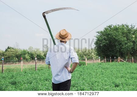 Worker with a scythe in the field