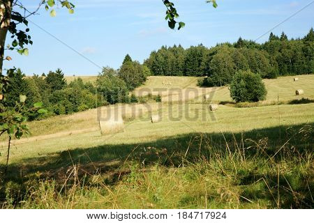 Hay harvest on meadow in Pasterka village, Poland, Table Mountains travel destination.