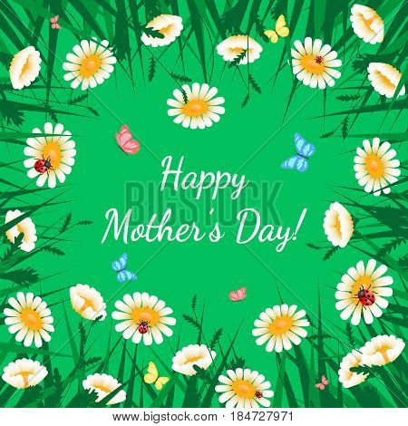 Happy Mothers Day greeting card. Grass with white chamomiles on green. Floral nature background. Vector flower with butterfly and ladybird
