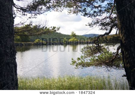 Auchintaple Loch 