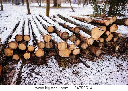 Pile Of Chopped Fire Wood Prepared For Winter
