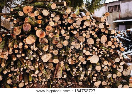 Pile Of Chopped Fire Wood Prepared For Winter