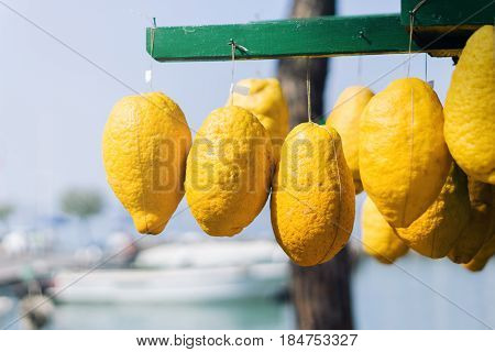 very large and healthy natural lemon fruits on the market in front of the beach