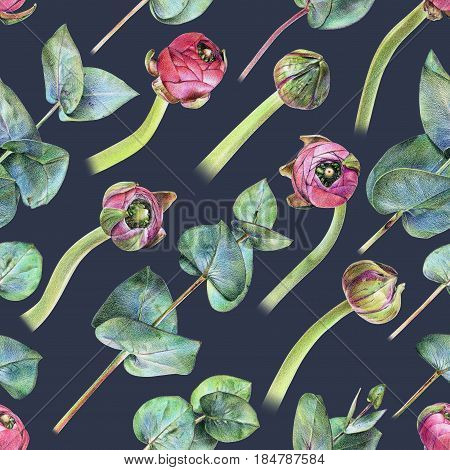 Seamless floral pattern with purple buttercup buds and green eucalyptus. Spring flowers and plants. Botanical natural background drawn by hand with colored pencil