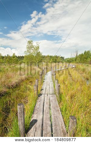wavy wooden path on swamp in summer