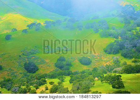 Rolling lush green hills with rural grasslands surrounded by fog taken in the Central California Coast