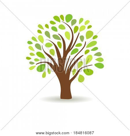 Spring tree in a white background. Abstract design. Tree logo. Oak logotype