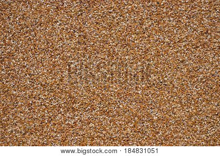 Pattern Gray Color Of Modern Style  Design Decorative