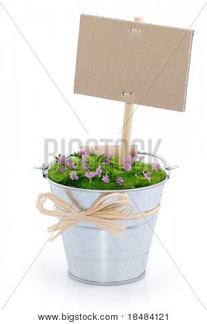 naturale small poster