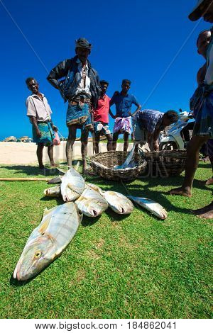 SRI LANKA - Mach 23: Local fishermen pull a fishing net from Indian Ocean on Mach 23, 2017 in Kosgoda, Sri Lanka. Fishing in Sri Lanka is the way they earn their living.