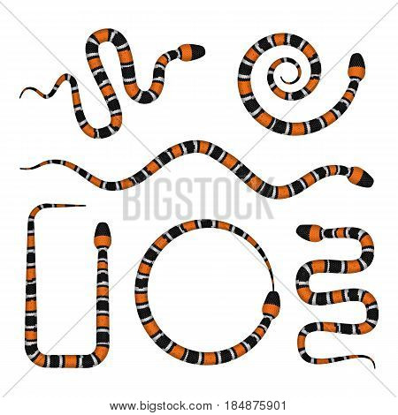 Vector 3D Illustration Of Coral Snake Or Micrurus Isolated On White
