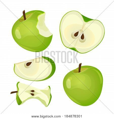 Bitten apple, whole, half and slice isolated on white background vector illustration. Mark of bitten fruit with black seeds