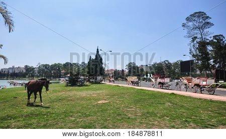 Landscape Of Dalat City In Vietnam