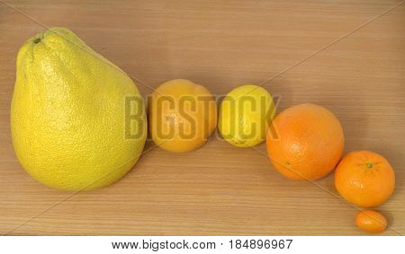 Citrus fruit pomelo grapefruit lemon orange mandarin orange chinese on the board