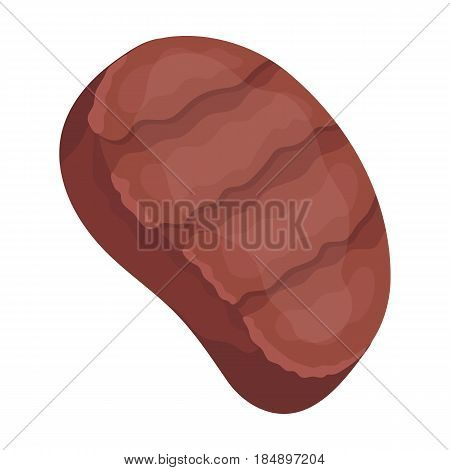 Fried steak. BBQ single icon in cartoon style 