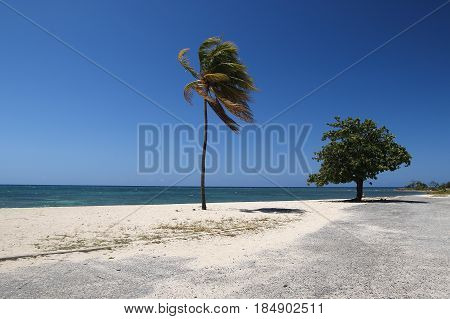 Tropical Ancon Beach in Trinidad Cuba with palm tree