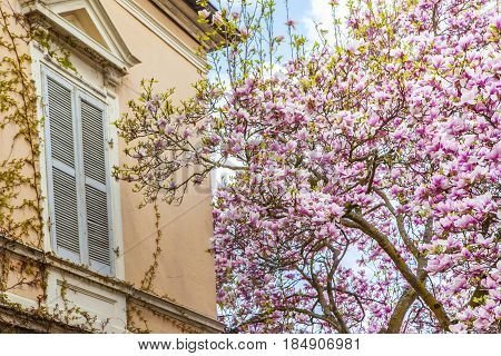 Beautiful Residential Architecture And Gardens In Spring On The Southern Wine Route Germany