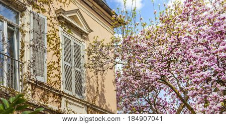 Beautiful Residential Architecture And Gardens In Spring On The Southern Wine Route Germany