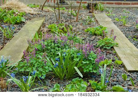new york city manhattan chelsea highline railroad path plants