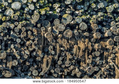 age stack with moss and firewood