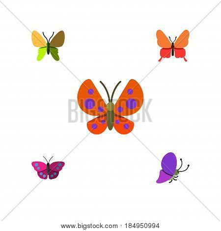 Flat Moth Set Of Moth, Beauty Fly, Summer Insect And Other Vector Objects. Also Includes Butterfly, Moth, Archippus Elements.