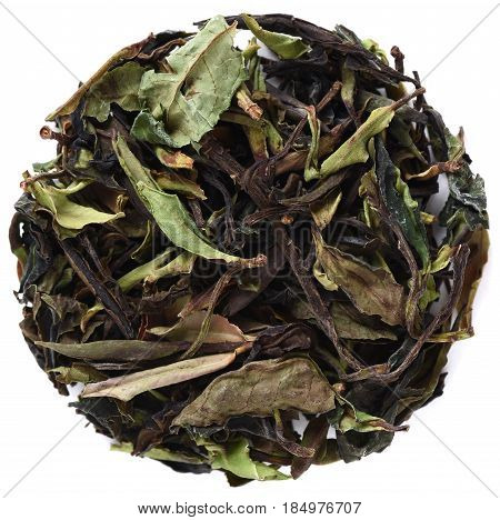 Wild Tree Purple Moonlight White Tea isolated