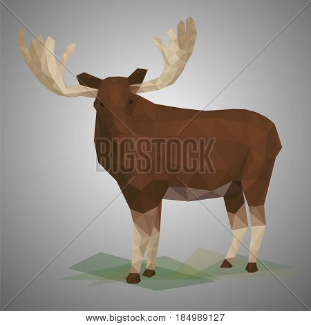 Low poly elk. Vector illustration in polygonal style. Beautiful forest animal on gray background.
