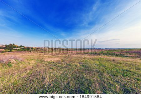 Field in the city