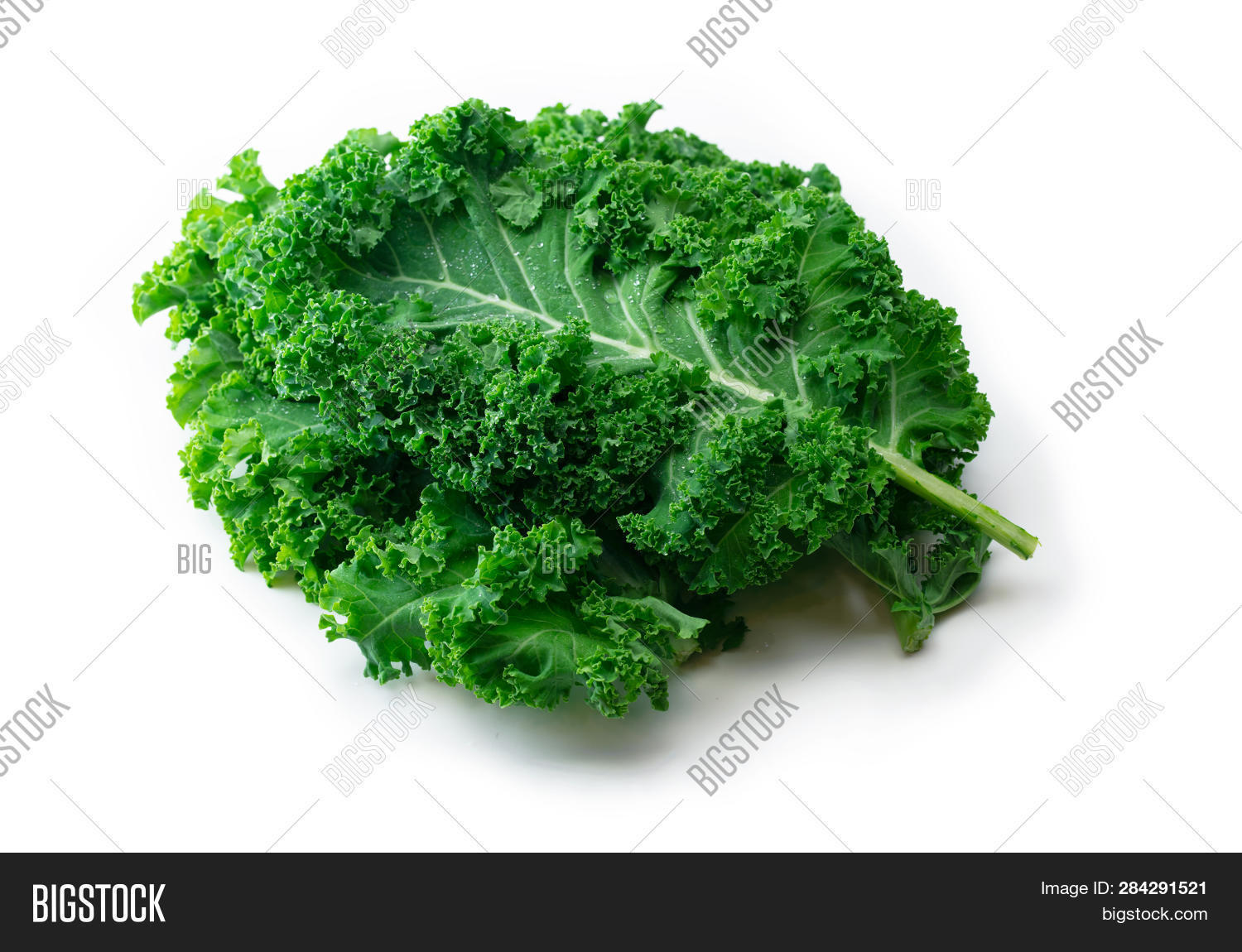 Kale. King Nutrition. Image & Photo (Free Trial) Bigstock
