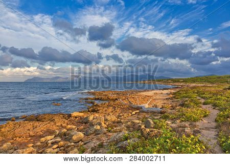 Seacoast near Can Picafort beach in sunset, Mallorca, Balearic islands, Spain