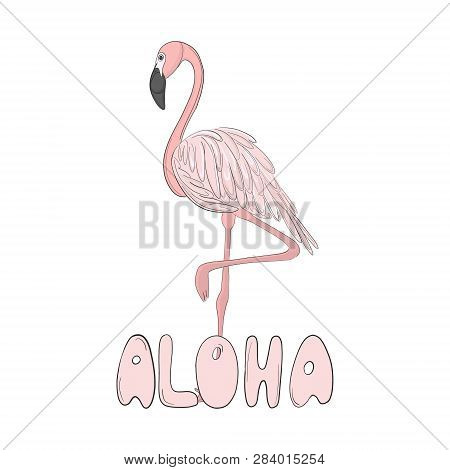 Flamingo Vector Hand Drawn Line Art Illustration. Pink Bird With Typography. Aloha Miami Exotic Art.