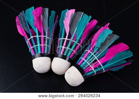 Colorful Feathers In The Badminton Shuttlecock. Team Play Set.