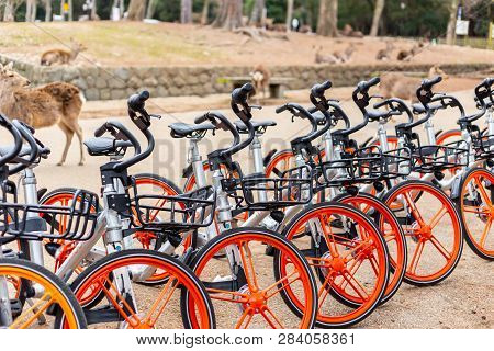 Mobike Bicycles Sharing Service For Tourist In Nara, Japan. 15 January 2019.
