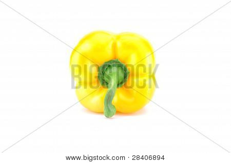 Žlutá paprika