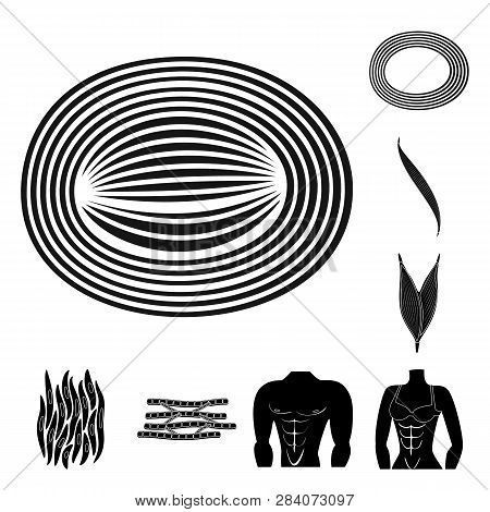 Isolated Object Of Human And Body  Logo. Set Of Human And Cells Vector Icon For Stock.