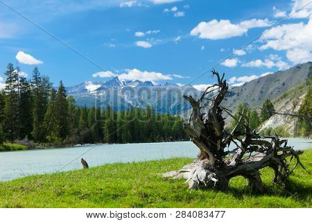Altai mountains. River Argut. Beautiful highland landscape. Russia. Siberia.