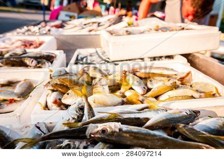 Pile Of Different Fresh Fish For Sale On The Fishmonger, Outdoor Seafood Market.