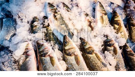 Pile Of Fresh Branzino, Sea Perch, Mullet, Fish For Sale On The Fishmonger, Outdoor Seafood Market.