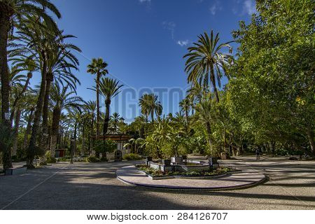 Elche, Alicante, Spain; February 2017: The Palmeral Of Elche, Spain, One Of The Largest In The World