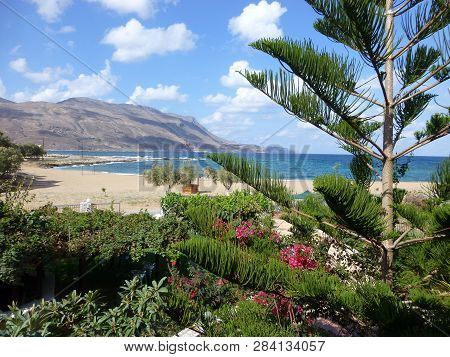 Kissamos Beach Flora Near Famous Lagoon Of Balos Beach With White Sand And Exotic Blue And Turquoise