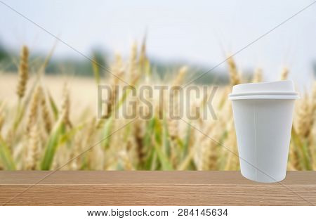 Bio Pla Paper Cup Placed In Front Of The Corn Field.