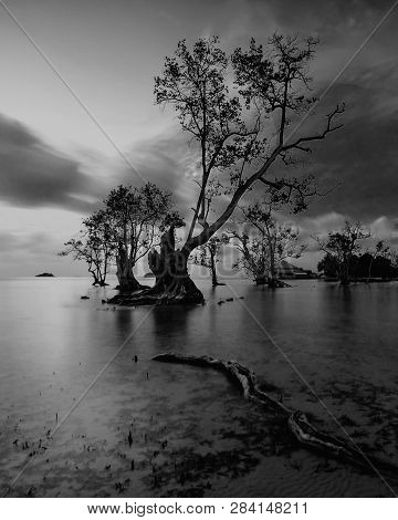 Blackwhite Landscape Photo Of  Batam Bintan Wonderful Indonesia