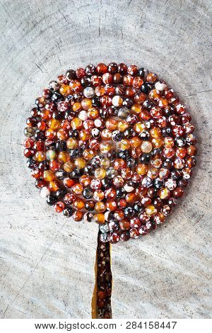 Spiral From Beads Of Amber Fireplace Faceted Agate Look Like Tree On Rough Surface Of An Old Stump W