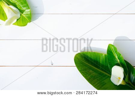 Summer Flat Lay Scenery With Tropical Palm Leaves With Calla Lilly On White Background With Copy Spa