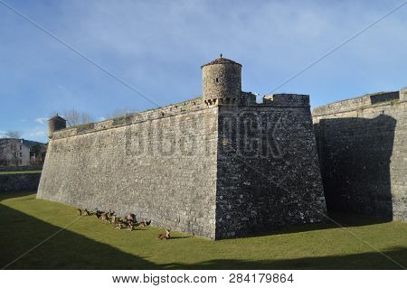 Precious Walls Of The Citadel Decking In Jaca In Its Grass Pit There Is A Host Family Of Deer. Trave