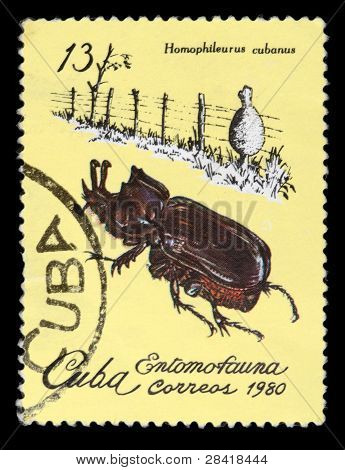 Postage Stamp